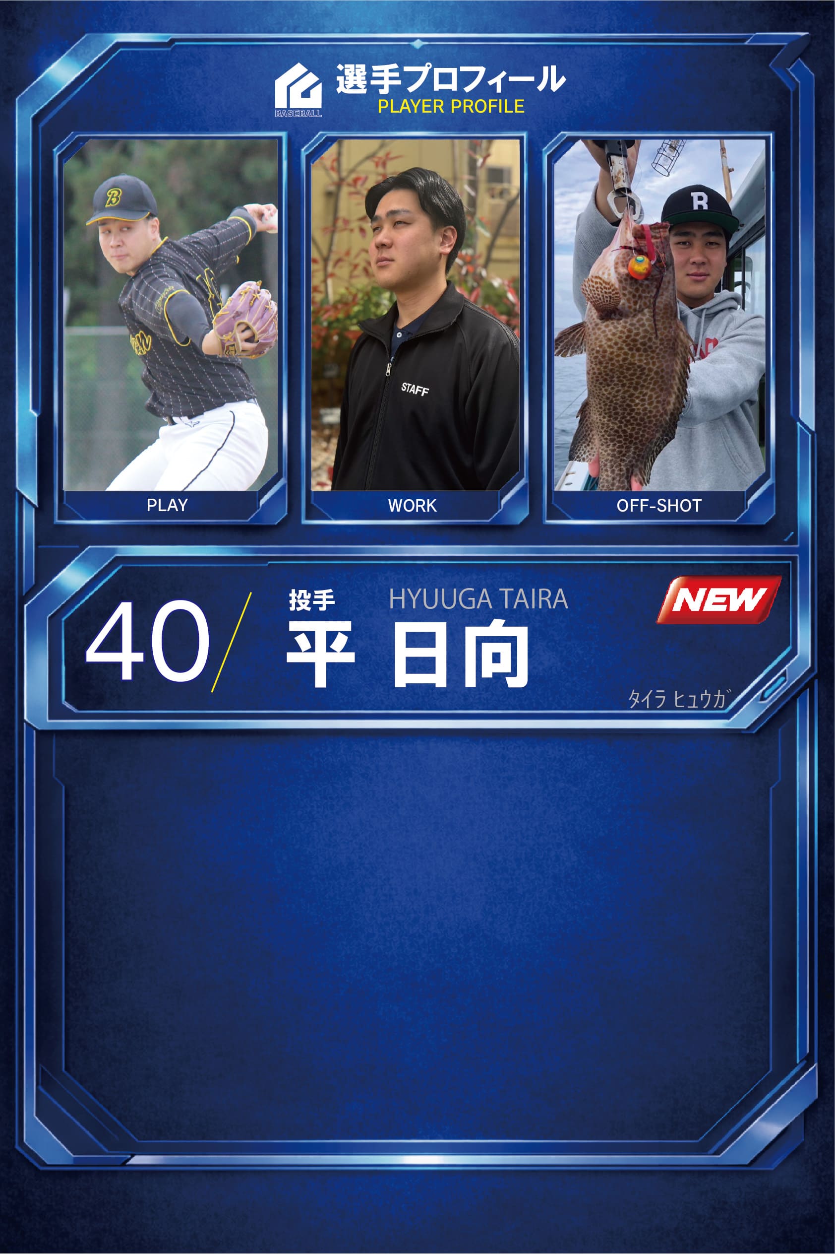 平 日向